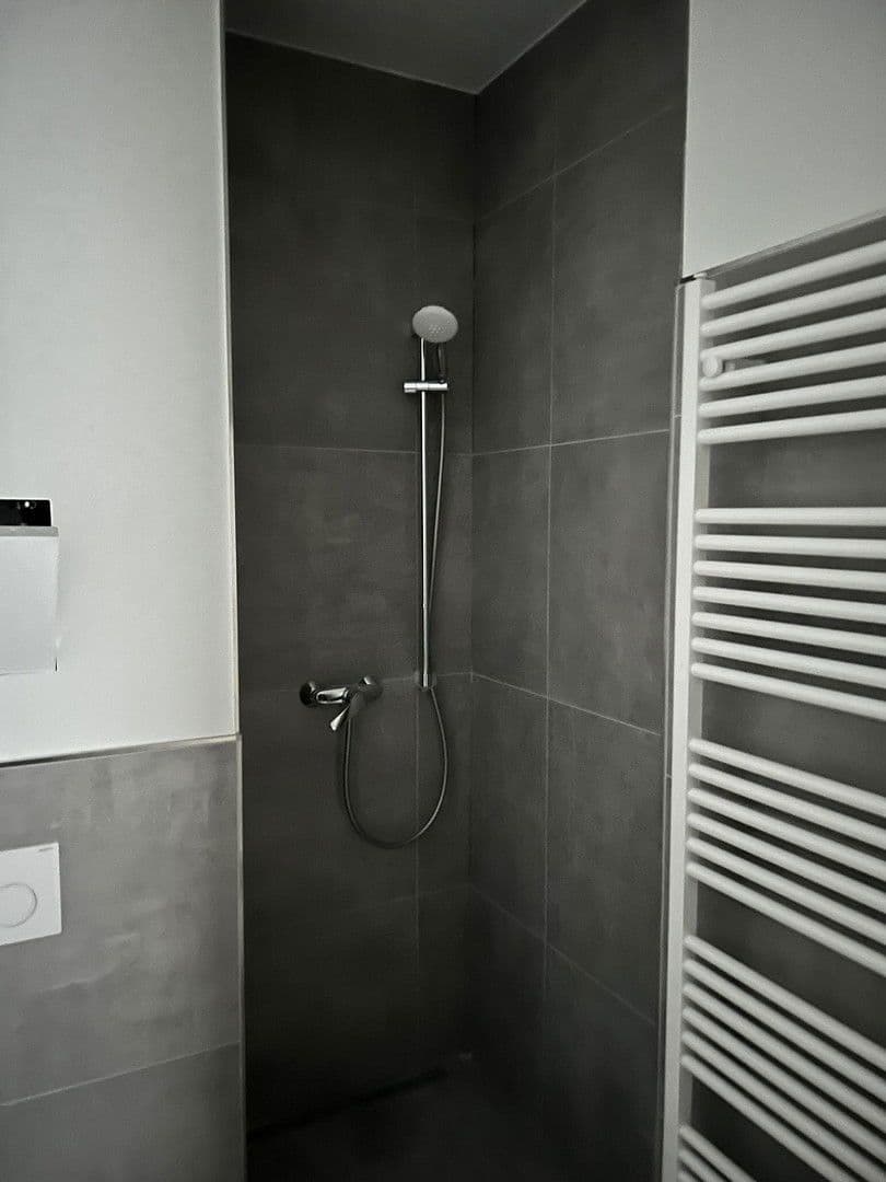 Pronájem bytu 2+1 57 m², Salomonstraße 22, Leipzig, Sasko Pronájem bytu 2+1 57 m², Salomonstraße 22, Leipzig, Sasko