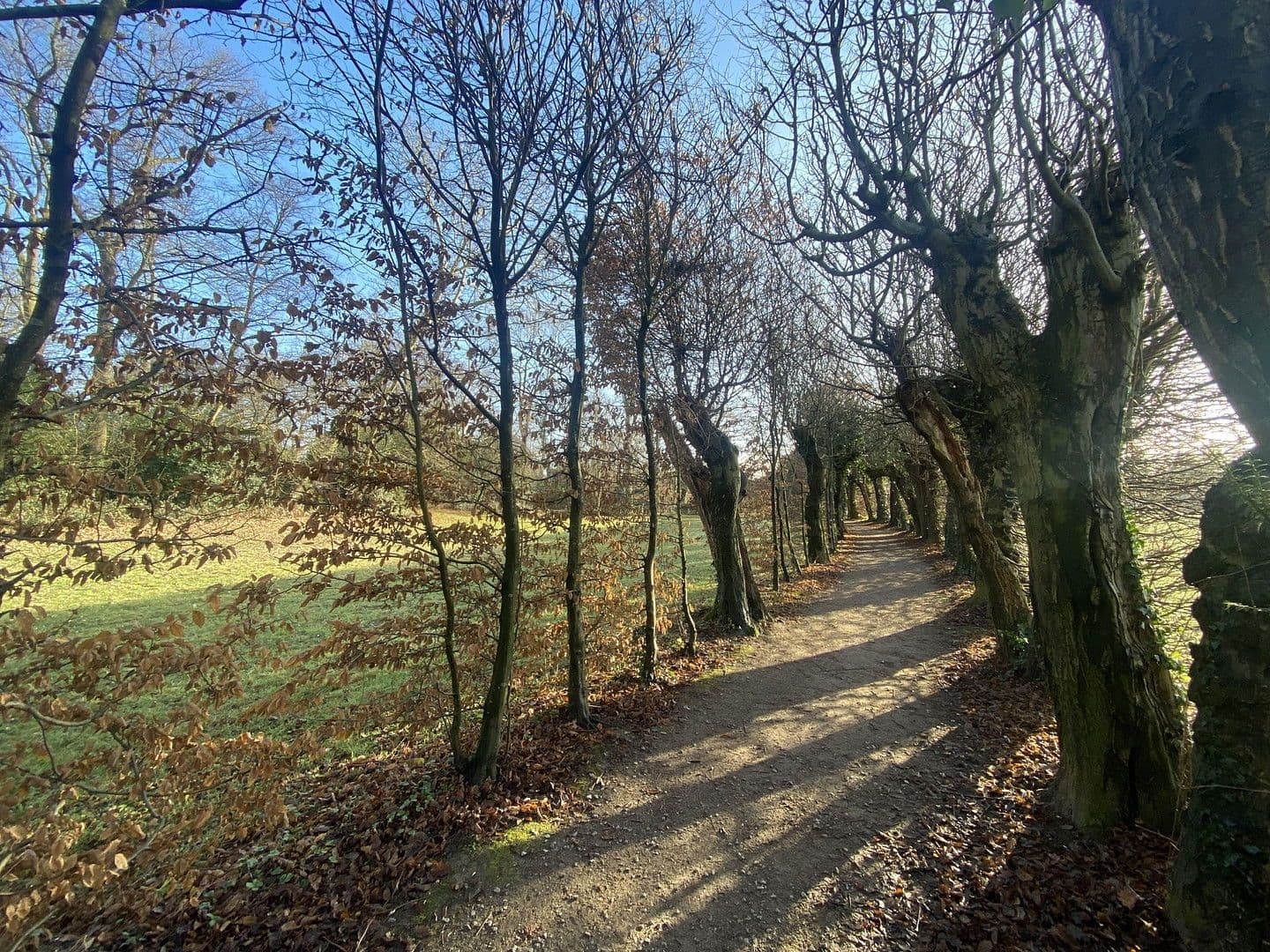 Prodej domu 100 m², pozemek 170 m², Düsseldorf, Severní Porýní-Vestfálsko Prodej domu 100 m², pozemek 170 m², Düsseldorf, Severní Porýní-Vestfálsko