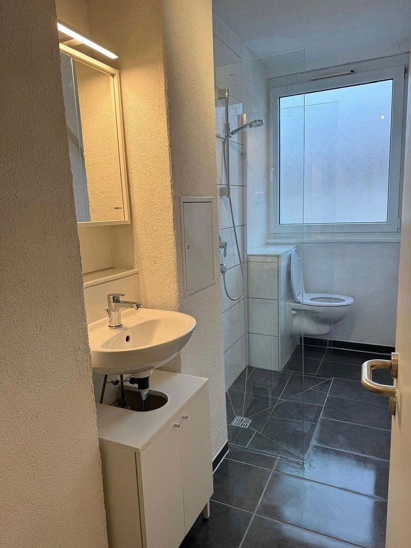 Pronájem bytu 2+1 40 m², Stuttgart, Bádensko-Württembersko Pronájem bytu 2+1 40 m², Stuttgart, Bádensko-Württembersko