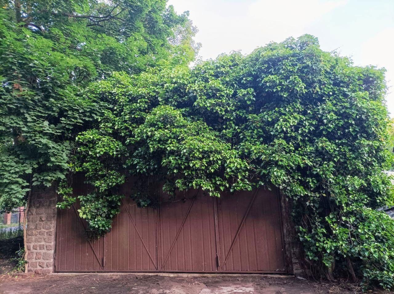 Prodej pozemku 500 m², Berlin, Berlín Prodej pozemku 500 m², Berlin, Berlín