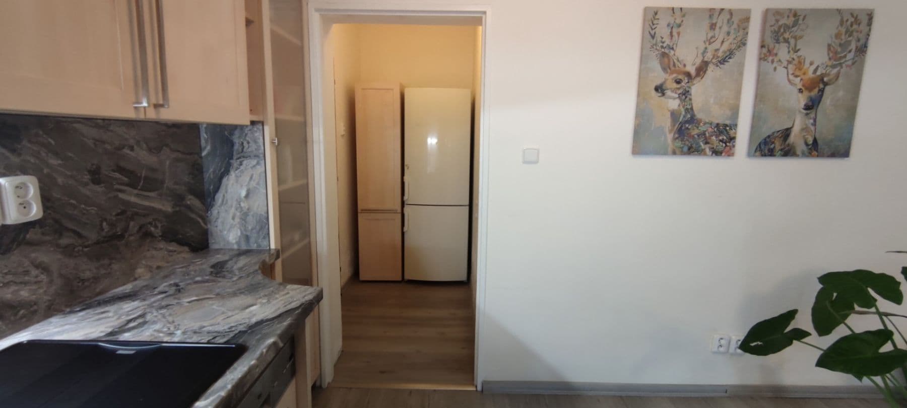 Pronájem bytu 2+kk 64 m², Zátopkova, Milovice, Středočeský kraj Pronájem bytu 2+kk 64 m², Zátopkova, Milovice, Středočeský kraj