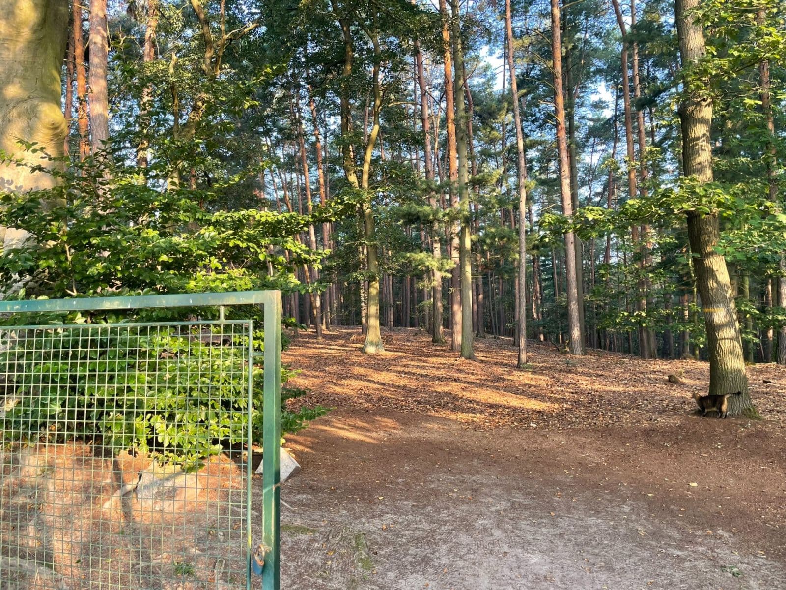 Prodej domu 73 m², pozemek 899 m², 23716, Líský, Středočeský kraj Prodej domu 73 m², pozemek 899 m², 23716, Líský, Středočeský kraj