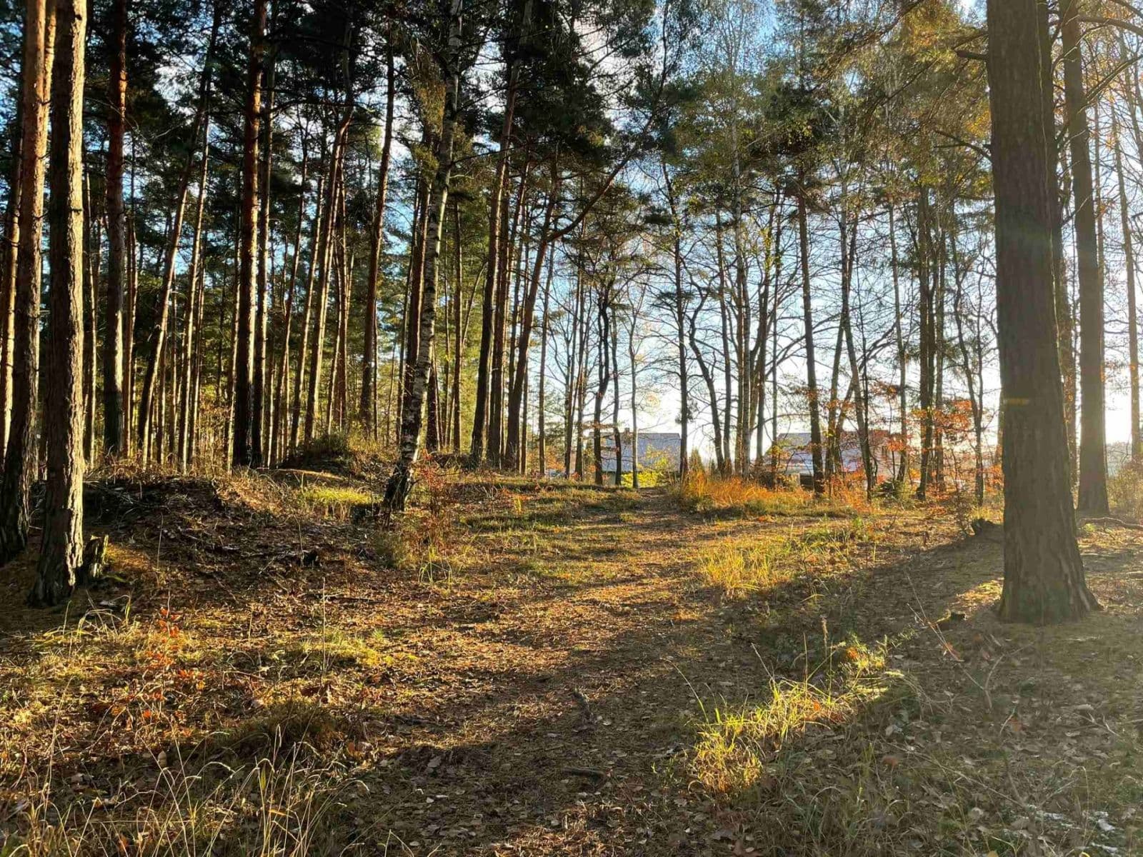 Prodej domu 73 m², pozemek 899 m², 23716, Líský, Středočeský kraj Prodej domu 73 m², pozemek 899 m², 23716, Líský, Středočeský kraj