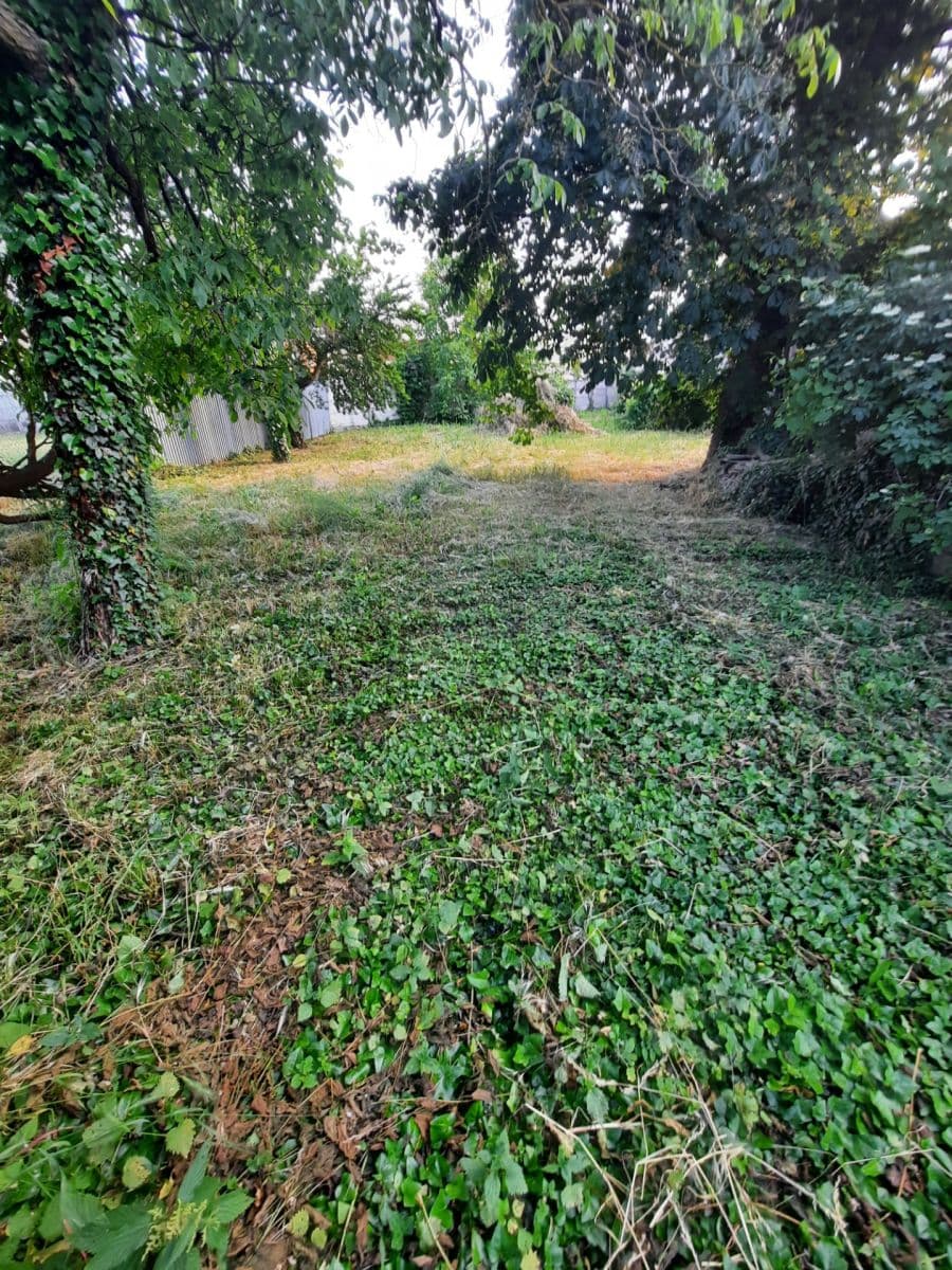 Prodej domu 714 m², pozemek 1.389 m², Jilemnického, Gbely, Trnavský kraj Prodej domu 714 m², pozemek 1.389 m², Jilemnického, Gbely, Trnavský kraj