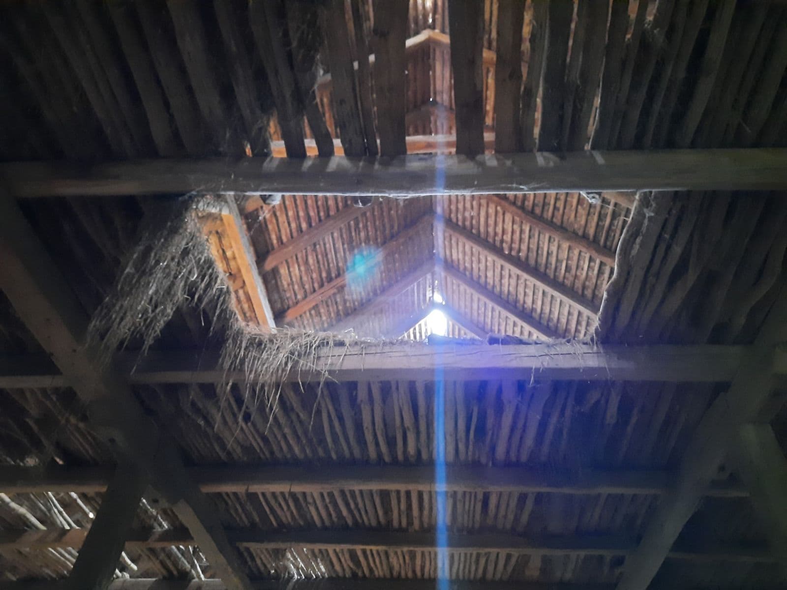 Prodej domu 714 m², pozemek 1.389 m², Jilemnického, Gbely, Trnavský kraj Prodej domu 714 m², pozemek 1.389 m², Jilemnického, Gbely, Trnavský kraj