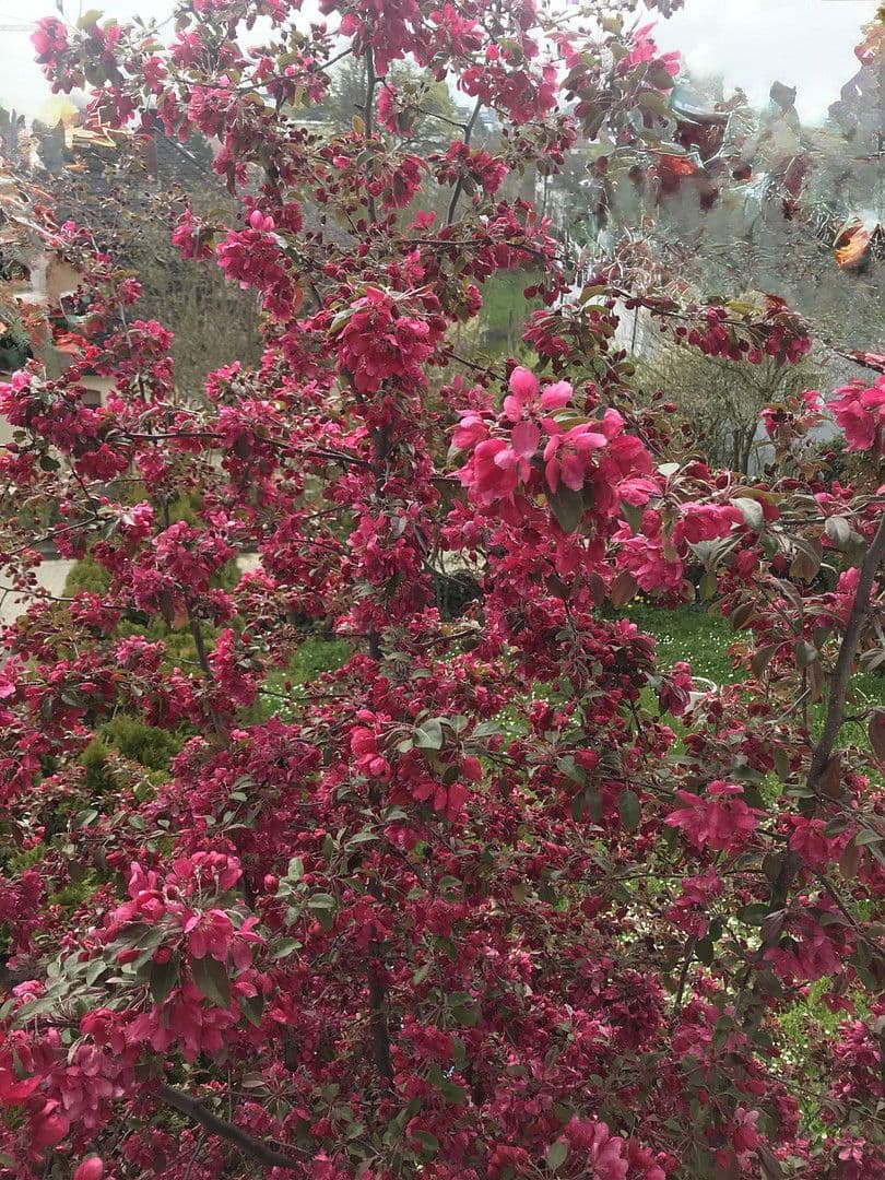 Prodej bytu 3+1 125 m², Bad Soden am Taunus, Hessen Prodej bytu 3+1 125 m², Bad Soden am Taunus, Hessen