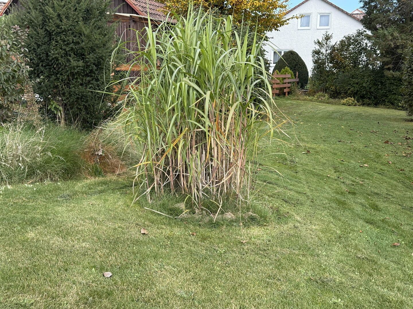 Prodej pozemku 797 m², Uehlfeld, Bavorsko Prodej pozemku 797 m², Uehlfeld, Bavorsko