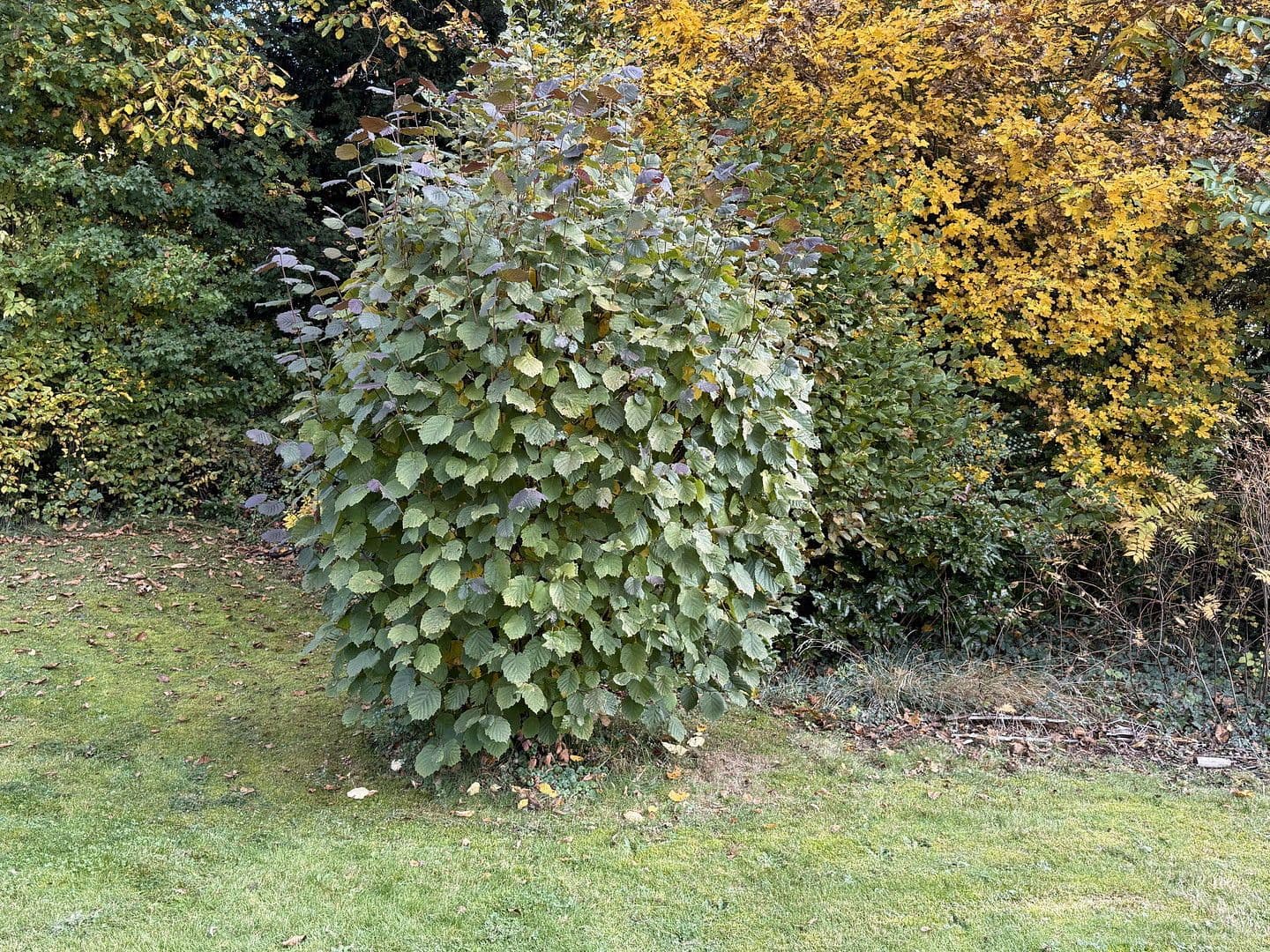 Prodej pozemku 797 m², Uehlfeld, Bavorsko Prodej pozemku 797 m², Uehlfeld, Bavorsko