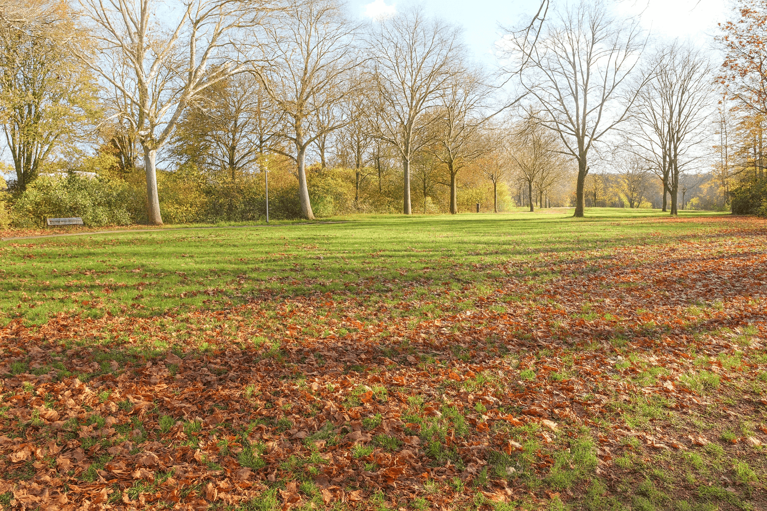 Prodej domu 120 m², pozemek 524 m², Köln, Severní Porýní-Vestfálsko Prodej domu 120 m², pozemek 524 m², Köln, Severní Porýní-Vestfálsko