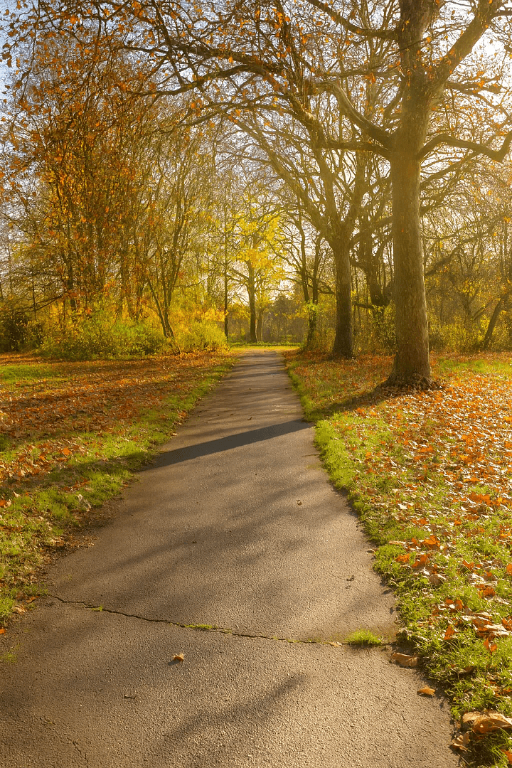 Prodej domu 120 m², pozemek 524 m², Köln, Severní Porýní-Vestfálsko Prodej domu 120 m², pozemek 524 m², Köln, Severní Porýní-Vestfálsko