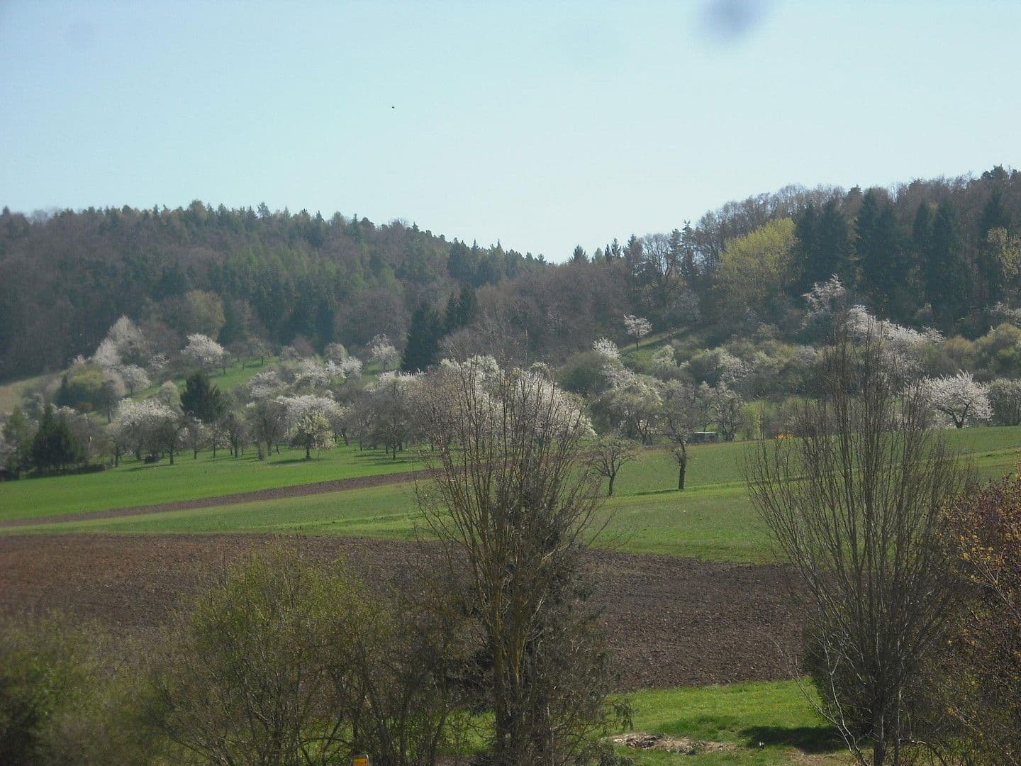 Prodej bytu 4+1 98 m², Ammerbuch, Bádensko-Württembersko Prodej bytu 4+1 98 m², Ammerbuch, Bádensko-Württembersko