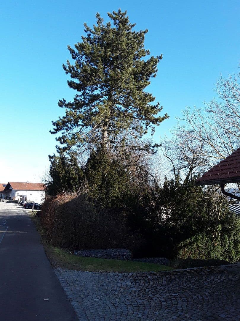 Prodej domu 252 m², pozemek 1.535 m², Wegscheid, Bavorsko Prodej domu 252 m², pozemek 1.535 m², Wegscheid, Bavorsko