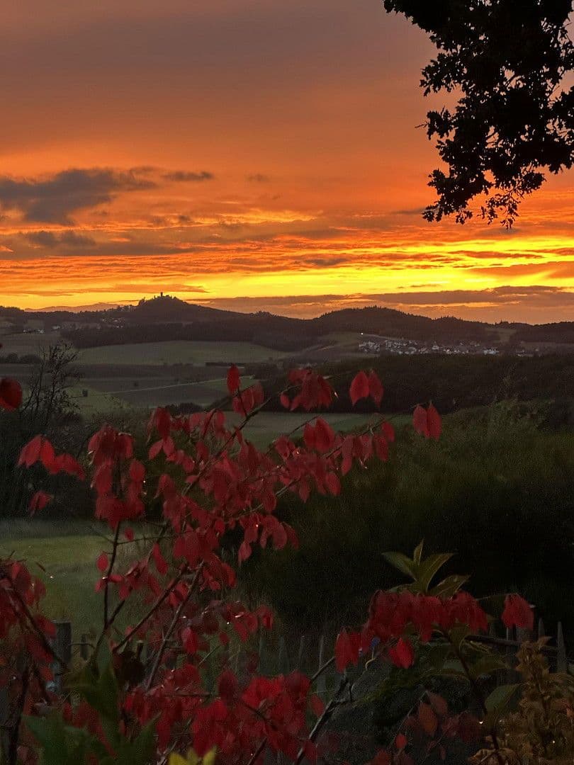 Prodej domu 130 m², pozemek 1.040 m², Baar, Porýní-Falc Prodej domu 130 m², pozemek 1.040 m², Baar, Porýní-Falc