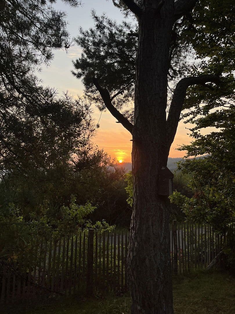 Prodej domu 130 m², pozemek 1.040 m², Baar, Porýní-Falc Prodej domu 130 m², pozemek 1.040 m², Baar, Porýní-Falc