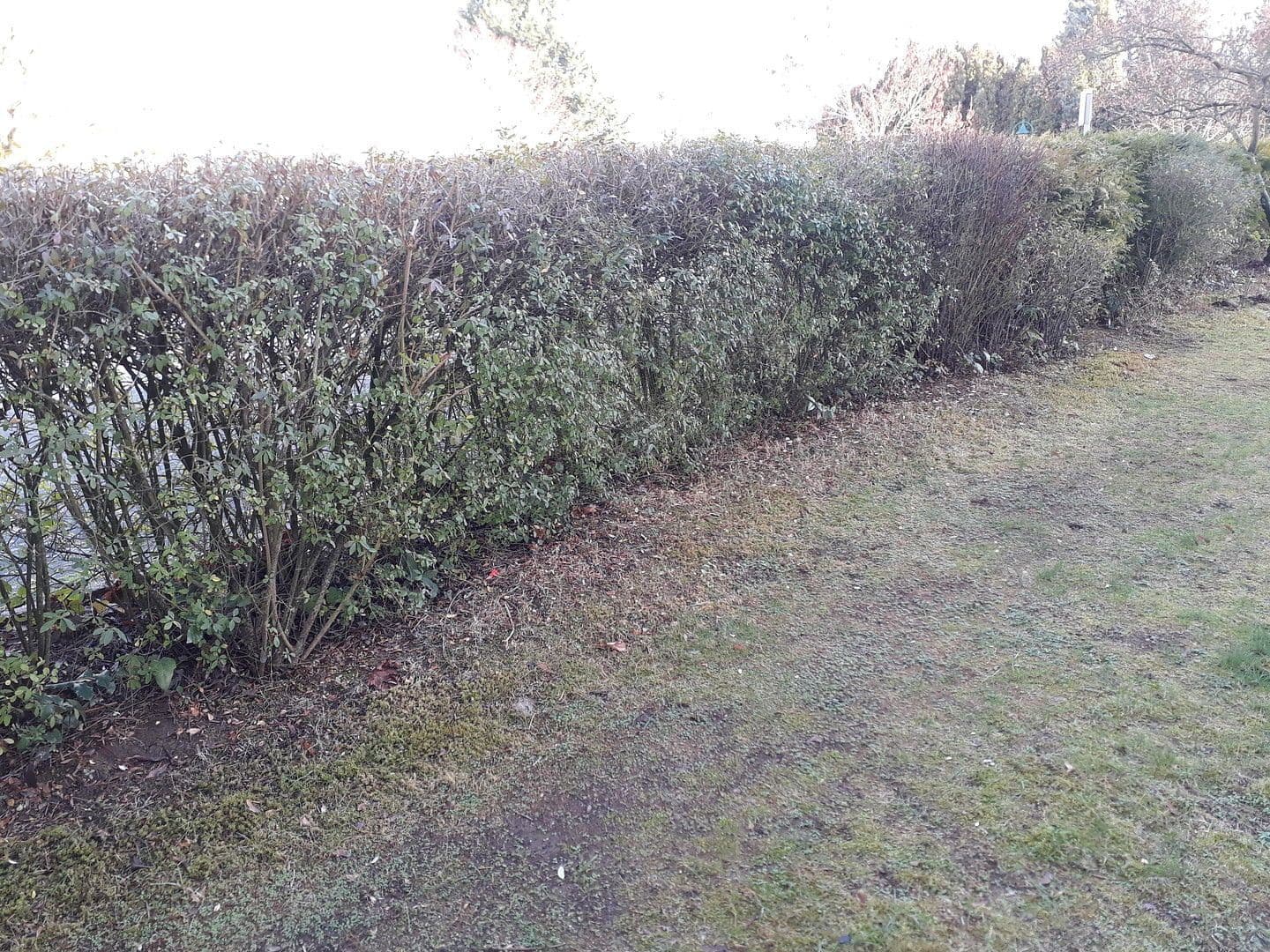 Prodej bytu 3+1 70 m², Schwalbach am Taunus, Hessen Prodej bytu 3+1 70 m², Schwalbach am Taunus, Hessen