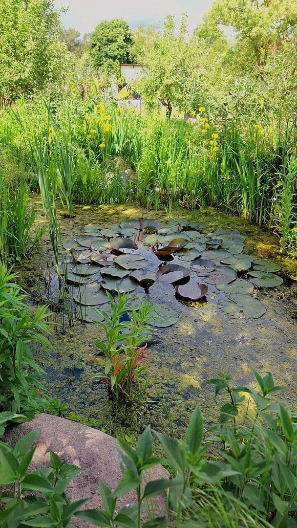 Prodej domu 900 m², pozemek 17.233 m², Badinger Weg 25, Zehdenick, Braniborsko Prodej domu 900 m², pozemek 17.233 m², Badinger Weg 25, Zehdenick, Braniborsko