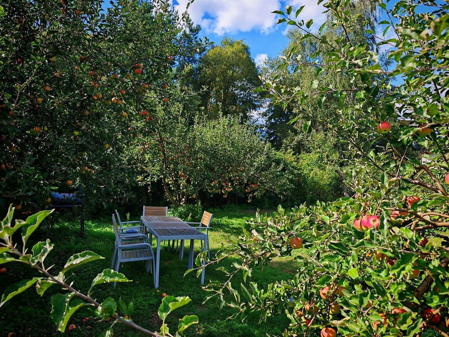 Prodej domu 900 m², pozemek 17.233 m², Badinger Weg 25, Zehdenick, Braniborsko Prodej domu 900 m², pozemek 17.233 m², Badinger Weg 25, Zehdenick, Braniborsko