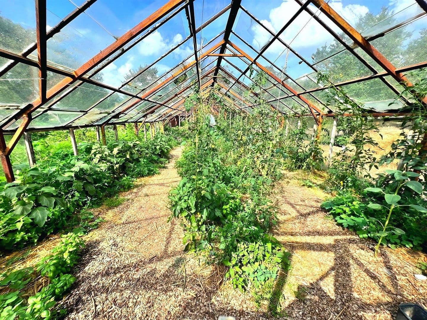 Prodej domu 900 m², pozemek 17.233 m², Badinger Weg 25, Zehdenick, Braniborsko Prodej domu 900 m², pozemek 17.233 m², Badinger Weg 25, Zehdenick, Braniborsko