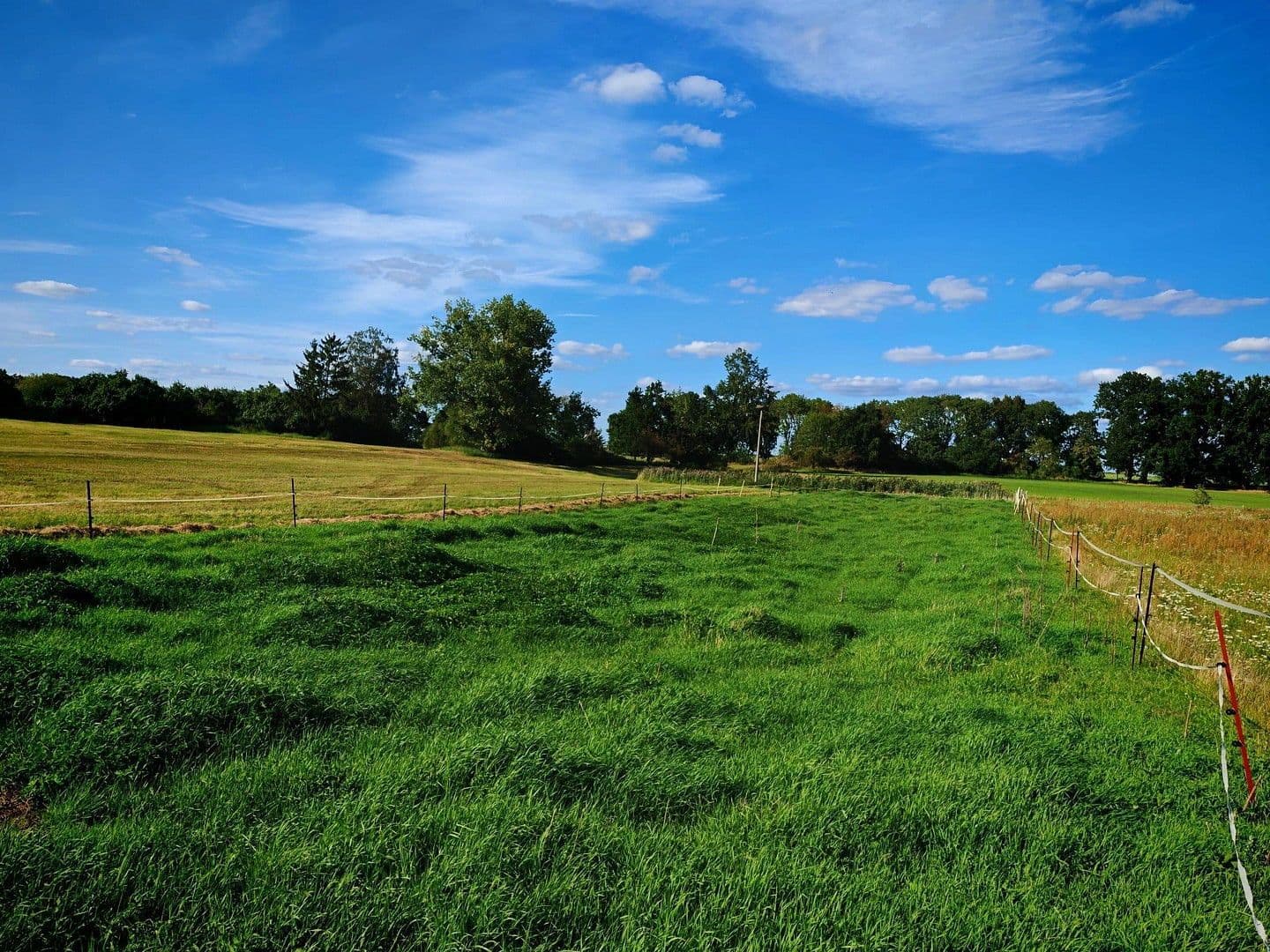 Prodej domu 900 m², pozemek 17.233 m², Badinger Weg 25, Zehdenick, Braniborsko Prodej domu 900 m², pozemek 17.233 m², Badinger Weg 25, Zehdenick, Braniborsko