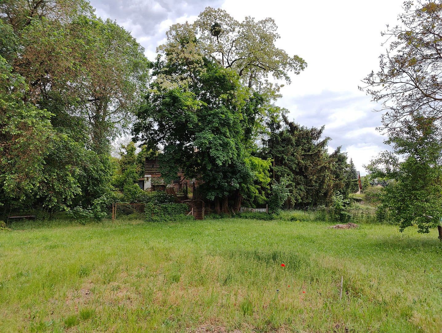 Prodej pozemku 8.608 m², Wilhelmienenberg 14, Bad Freienwalde (Oder), Braniborsko Prodej pozemku 8.608 m², Wilhelmienenberg 14, Bad Freienwalde (Oder), Braniborsko