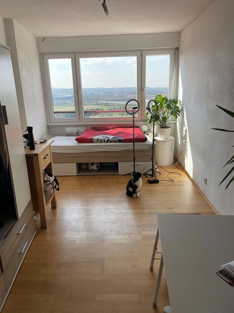 Prodej bytu 5+1 140 m², Offenburg, Bádensko-Württembersko Prodej bytu 5+1 140 m², Offenburg, Bádensko-Württembersko