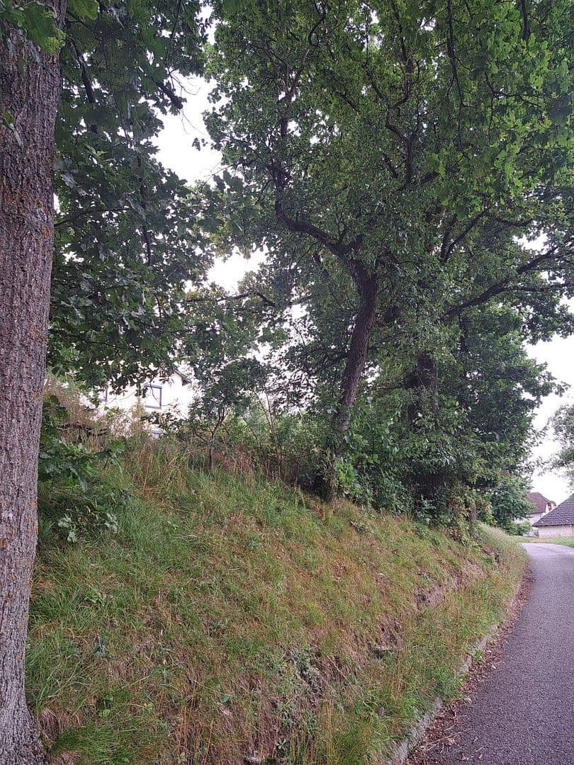 Prodej pozemku 992 m², Leitnerweg, Leharweg, Walding, Horní Rakousko Prodej pozemku 992 m², Leitnerweg, Leharweg, Walding, Horní Rakousko