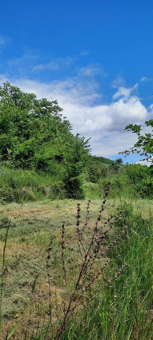 Prodej pozemku 8.272 m², Ranch Ried Retter, Krems, Dolní Rakousko Prodej pozemku 8.272 m², Ranch Ried Retter, Krems, Dolní Rakousko