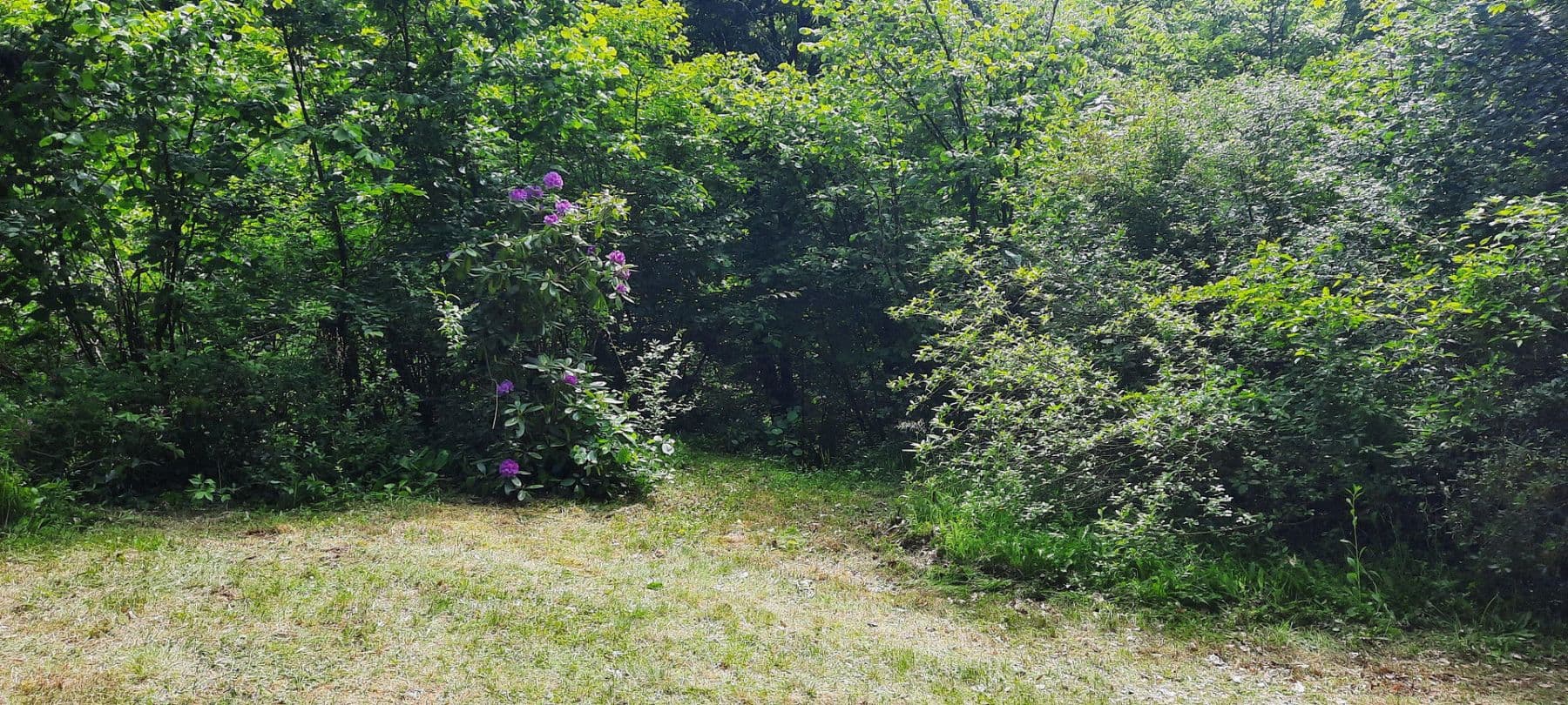 Prodej pozemku 8.272 m², Ranch Ried Retter, Krems, Dolní Rakousko Prodej pozemku 8.272 m², Ranch Ried Retter, Krems, Dolní Rakousko