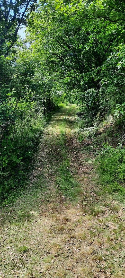 Prodej pozemku 8.272 m², Ranch Ried Retter, Krems, Dolní Rakousko Prodej pozemku 8.272 m², Ranch Ried Retter, Krems, Dolní Rakousko