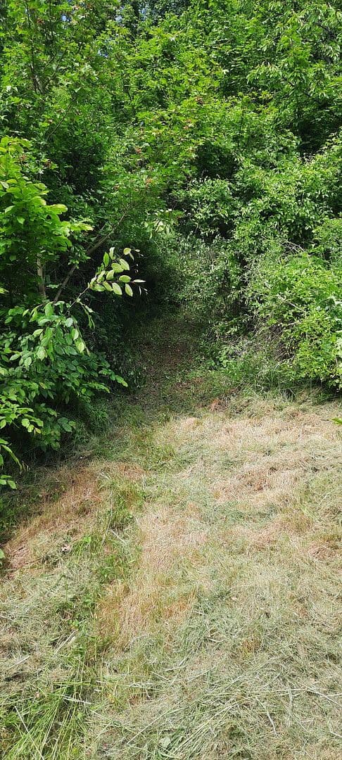 Prodej pozemku 8.272 m², Ranch Ried Retter, Krems, Dolní Rakousko Prodej pozemku 8.272 m², Ranch Ried Retter, Krems, Dolní Rakousko