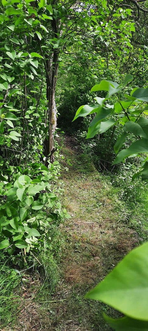 Prodej pozemku 8.272 m², Ranch Ried Retter, Krems, Dolní Rakousko Prodej pozemku 8.272 m², Ranch Ried Retter, Krems, Dolní Rakousko