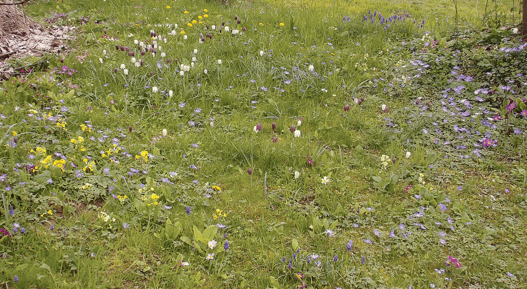 Prodej domu 326 m², pozemek 1.366 m², Nellinger Straße 47, Stuttgart, Bádensko-Württembersko Prodej domu 326 m², pozemek 1.366 m², Nellinger Straße 47, Stuttgart, Bádensko-Württembersko