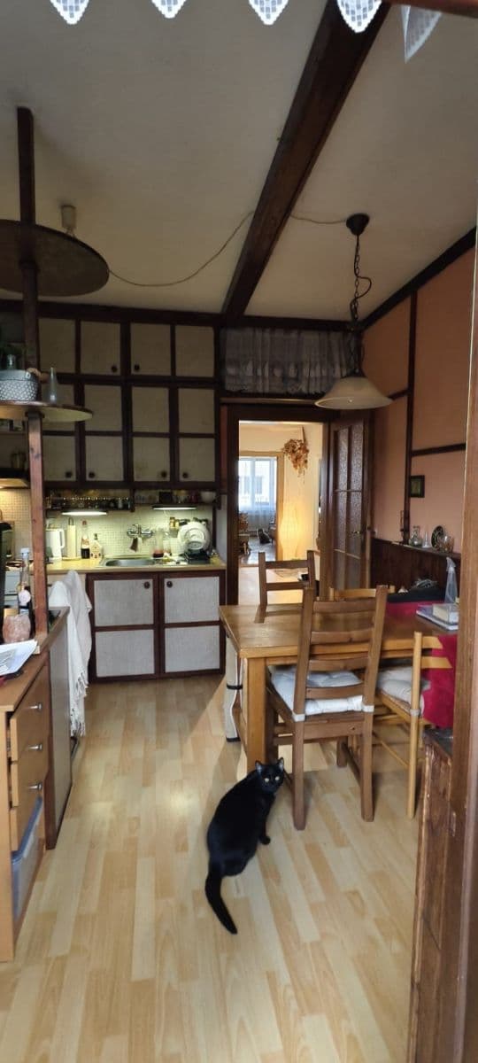 Pronájem bytu 2+1 75 m², Slámova, Brno, Jihomoravský kraj Pronájem bytu 2+1 75 m², Slámova, Brno, Jihomoravský kraj