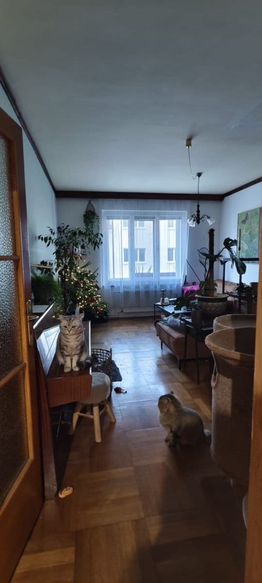 Pronájem bytu 2+1 75 m², Slámova, Brno, Jihomoravský kraj Pronájem bytu 2+1 75 m², Slámova, Brno, Jihomoravský kraj