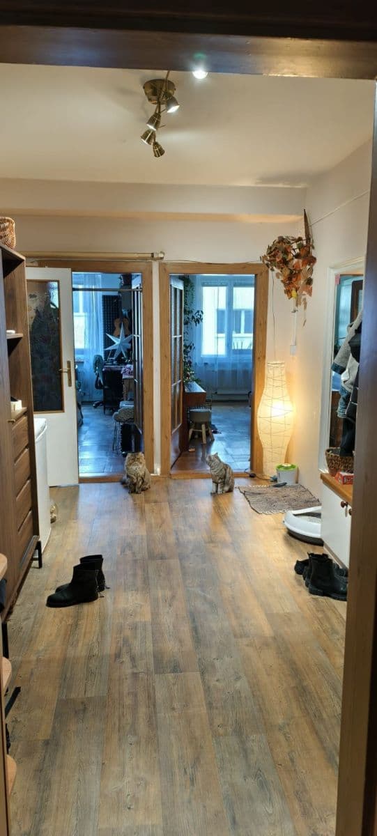 Pronájem bytu 2+1 75 m², Slámova, Brno, Jihomoravský kraj Pronájem bytu 2+1 75 m², Slámova, Brno, Jihomoravský kraj