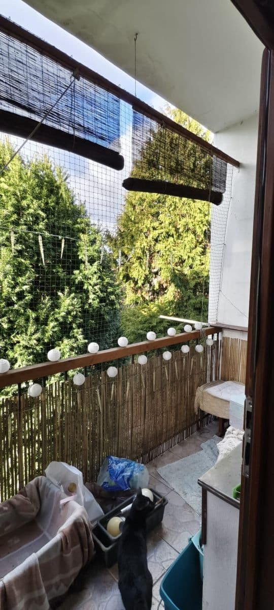 Pronájem bytu 2+1 75 m², Slámova, Brno, Jihomoravský kraj Pronájem bytu 2+1 75 m², Slámova, Brno, Jihomoravský kraj