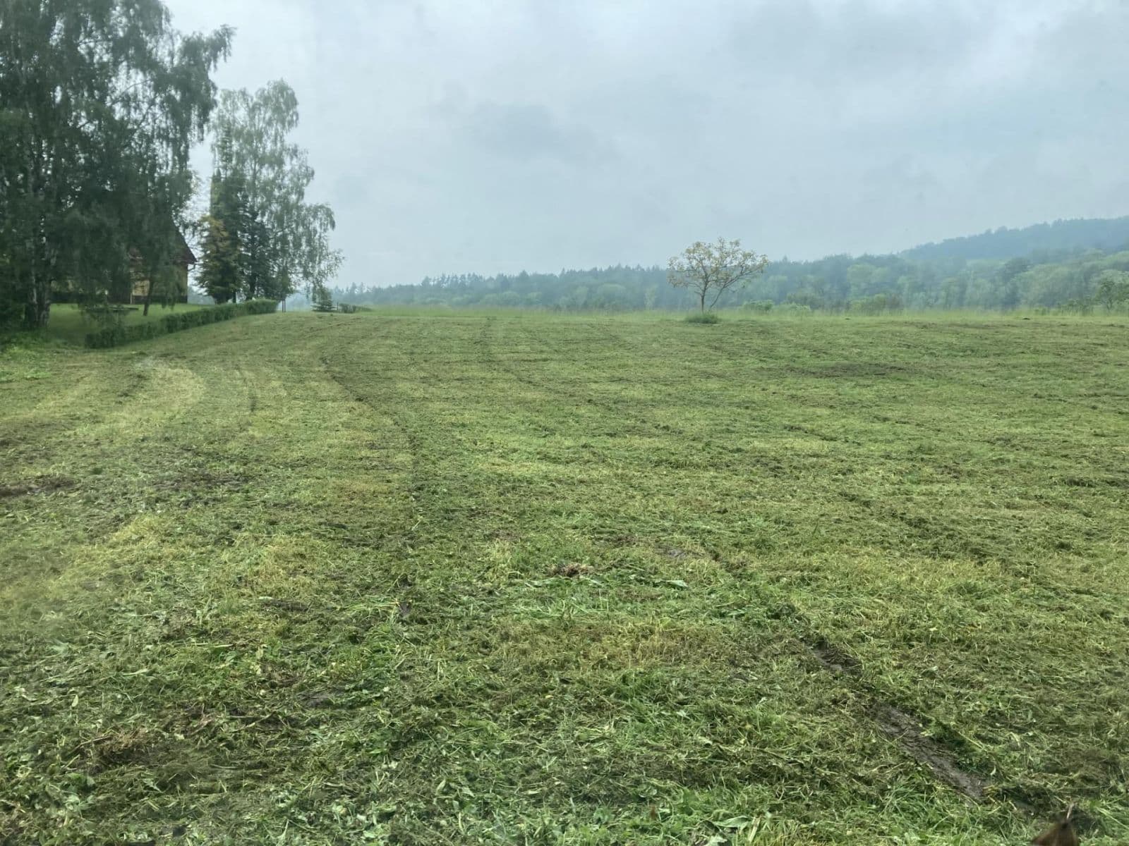 Prodej pozemku 3.967 m², Třebívlice, Ústecký kraj Prodej pozemku 3.967 m², Třebívlice, Ústecký kraj