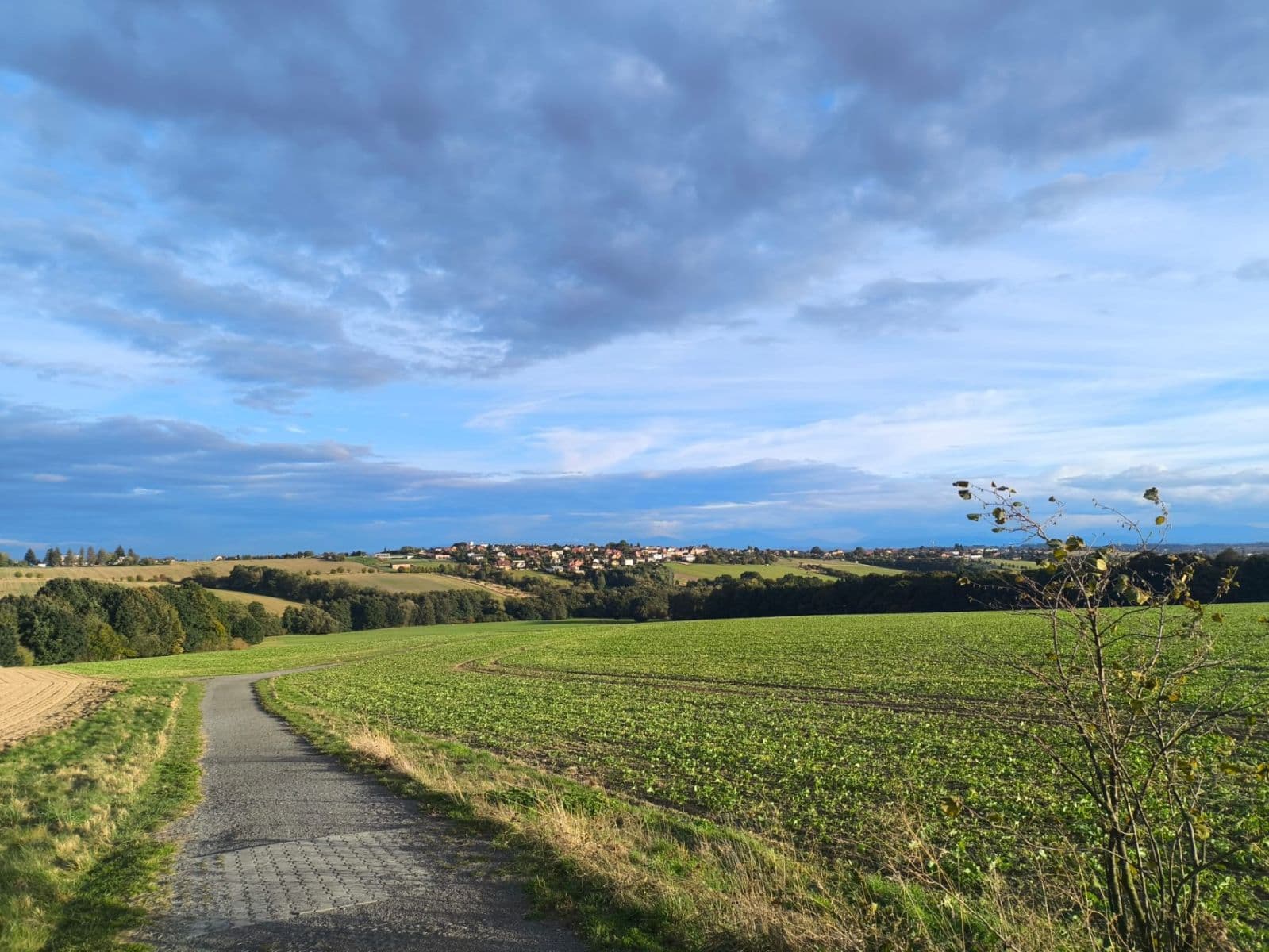 Prodej bytu 2+1 53 m², Aleše Hrdličky, Ostrava, Moravskoslezský kraj Prodej bytu 2+1 53 m², Aleše Hrdličky, Ostrava, Moravskoslezský kraj