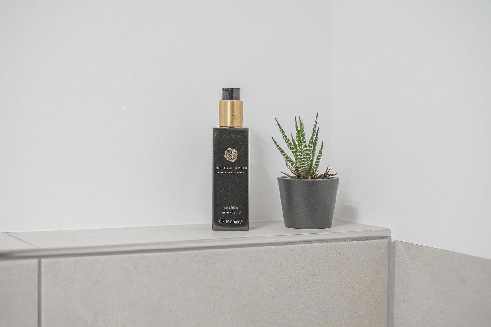 Pronájem bytu 2+1 46 m², Wannweiler Straße 68, Kirchentellinsfurt, Bádensko-Württembersko Pronájem bytu 2+1 46 m², Wannweiler Straße 68, Kirchentellinsfurt, Bádensko-Württembersko