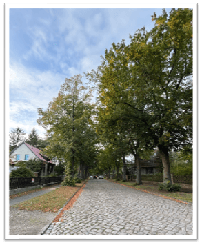 Prodej domu 75 m², pozemek 726 m², Zeuthen, Braniborsko Prodej domu 75 m², pozemek 726 m², Zeuthen, Braniborsko