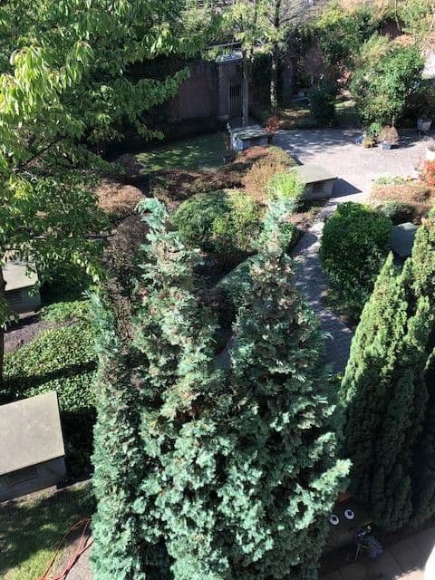 Pronájem bytu 1+1 36 m², Benzenbergstr. 51, Düsseldorf, Severní Porýní-Vestfálsko Pronájem bytu 1+1 36 m², Benzenbergstr. 51, Düsseldorf, Severní Porýní-Vestfálsko