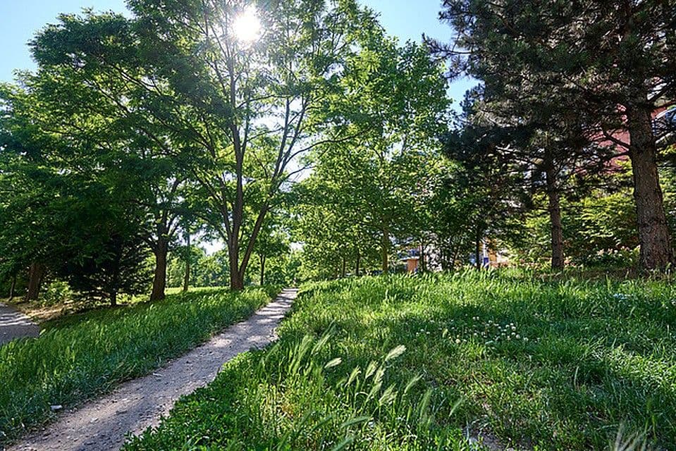 Pronájem bytu 2+kk 50 m², Paříkova, Praha, Praha Pronájem bytu 2+kk 50 m², Paříkova, Praha, Praha