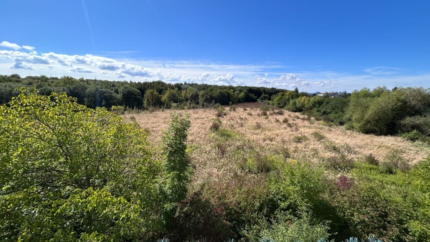 Pronájem bytu 1+kk 34 m², Františka Diviše, Praha, Praha Pronájem bytu 1+kk 34 m², Františka Diviše, Praha, Praha