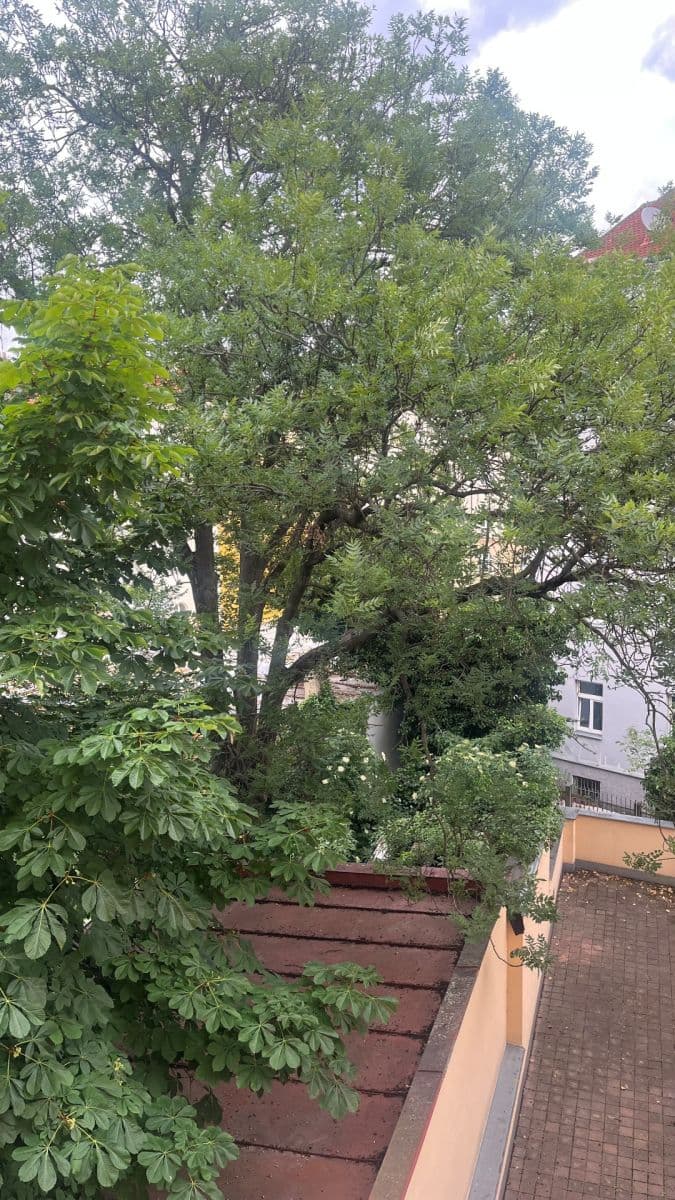 Pronájem bytu 3+1 65 m², Nuselská, Praha, Praha Pronájem bytu 3+1 65 m², Nuselská, Praha, Praha