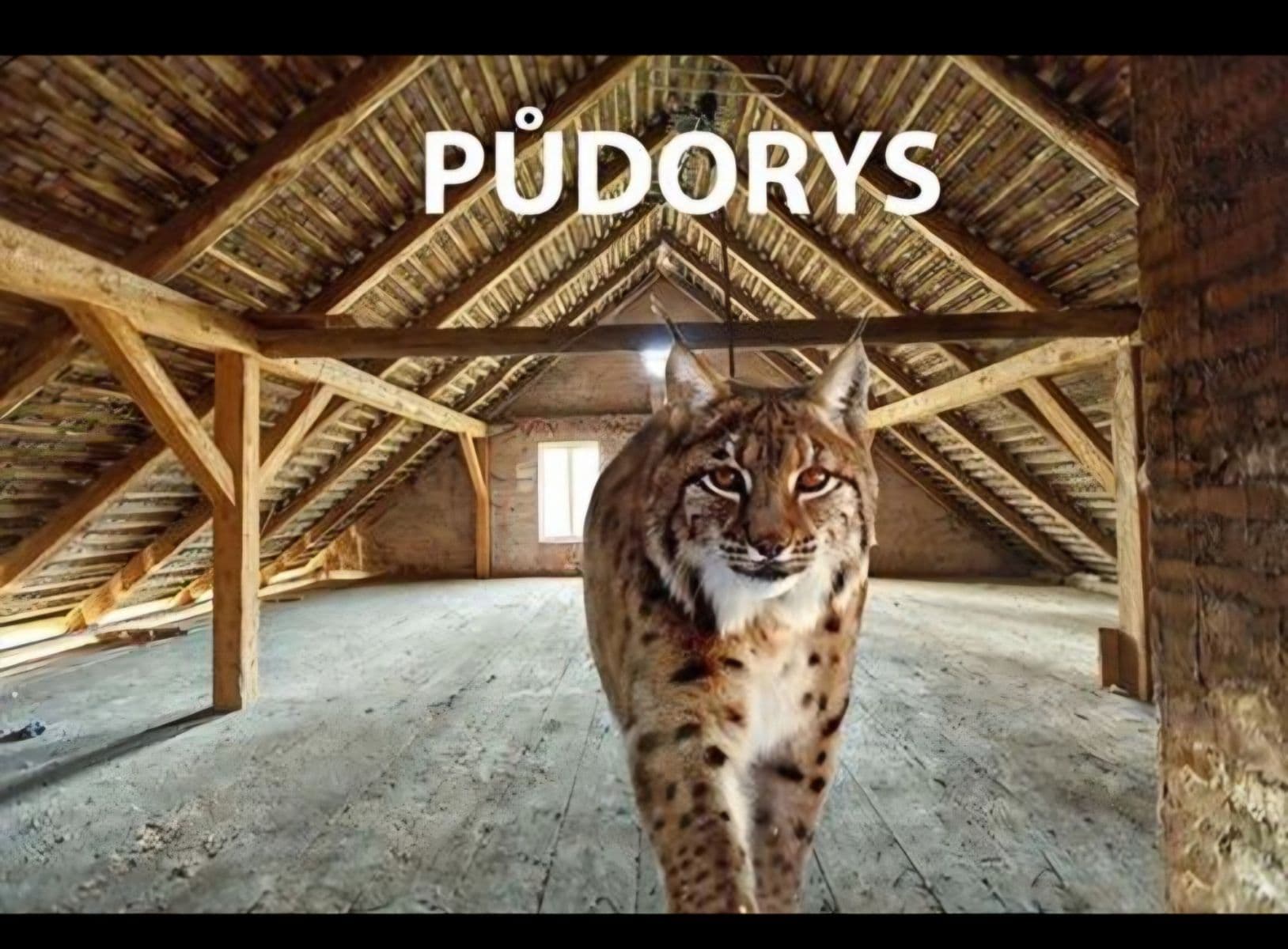 Prodej bytu 1+kk 28 m², Jeremenkova, Praha, Praha Prodej bytu 1+kk 28 m², Jeremenkova, Praha, Praha