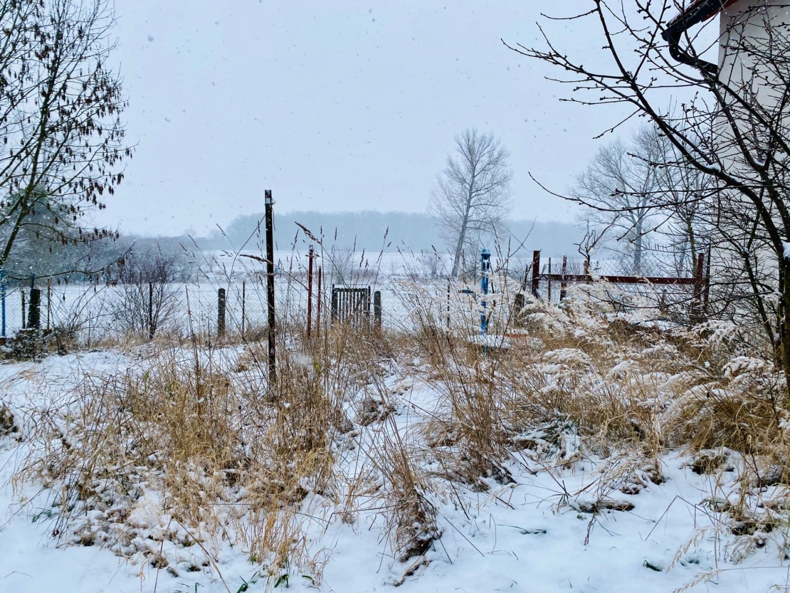 Prodej domu 60 m², pozemek 467 m², Dymokury, Středočeský kraj Prodej domu 60 m², pozemek 467 m², Dymokury, Středočeský kraj