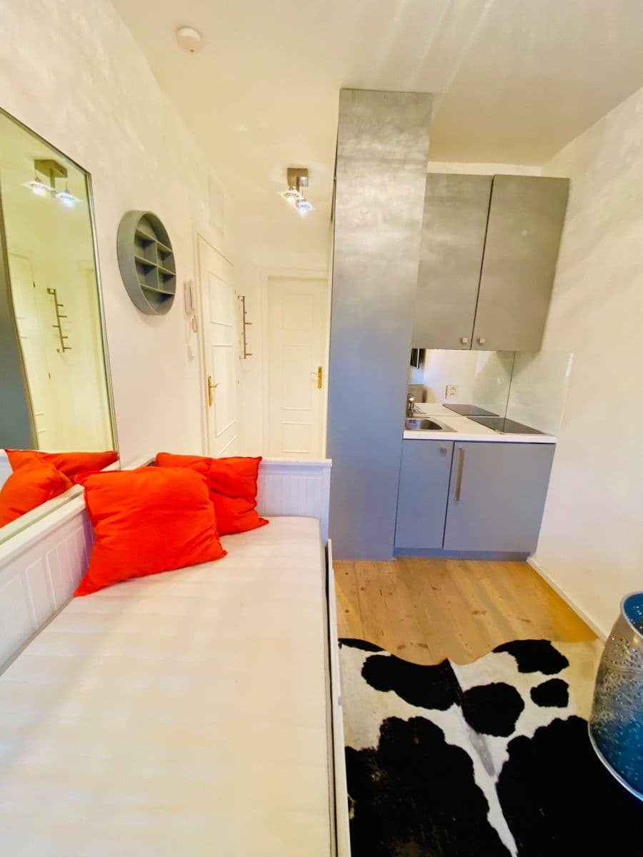 Pronájem bytu 1+kk 13 m², U Pernikářky, Praha, Praha Pronájem bytu 1+kk 13 m², U Pernikářky, Praha, Praha