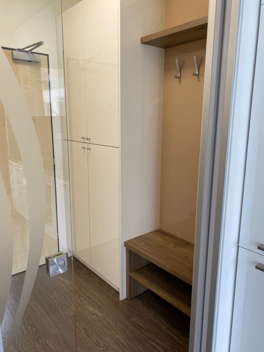 Pronájem bytu 1+kk 23 m², Lidická, Brno, Jihomoravský kraj Pronájem bytu 1+kk 23 m², Lidická, Brno, Jihomoravský kraj