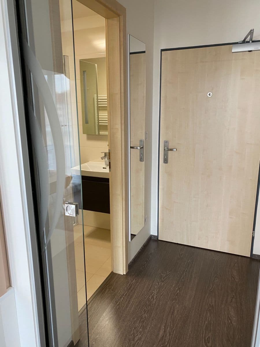 Pronájem bytu 1+kk 23 m², Lidická, Brno, Jihomoravský kraj Pronájem bytu 1+kk 23 m², Lidická, Brno, Jihomoravský kraj