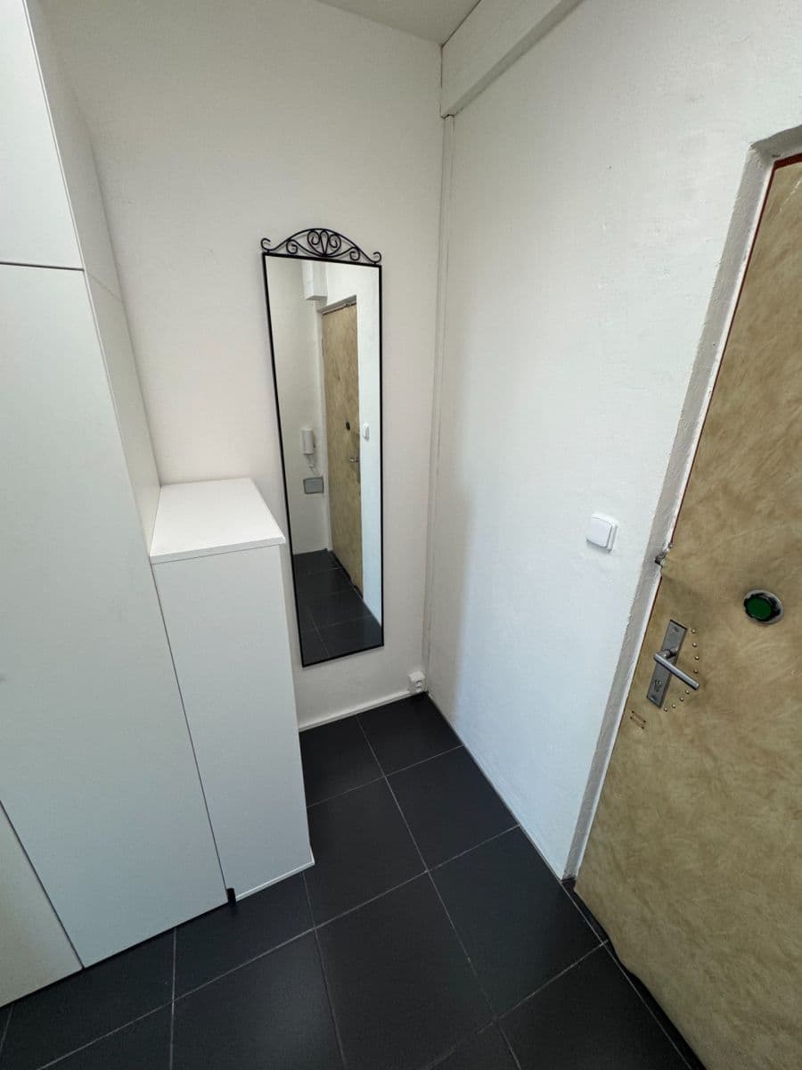 Pronájem bytu 1+kk 32 m², U Kamýku, Praha, Praha Pronájem bytu 1+kk 32 m², U Kamýku, Praha, Praha
